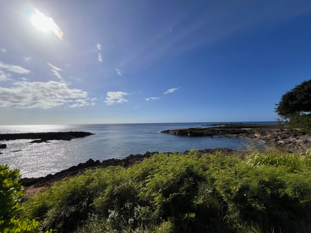 Diving adventure on the west side boat trip