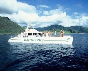 Private sunset cruise watching dolphins with dinner and drinks