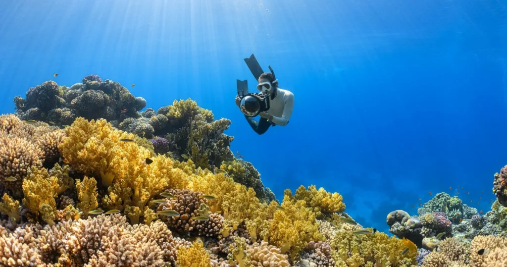 Snorkelers exploring Turtle Town waters at sunset