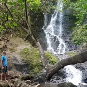 Hiking through lush Ko’olau waterfall trails