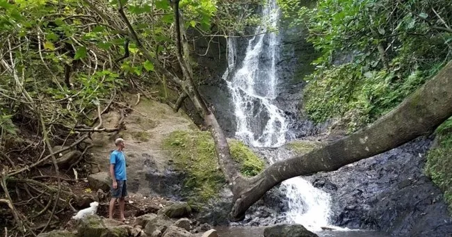 Hiking through lush Ko’olau waterfall trails