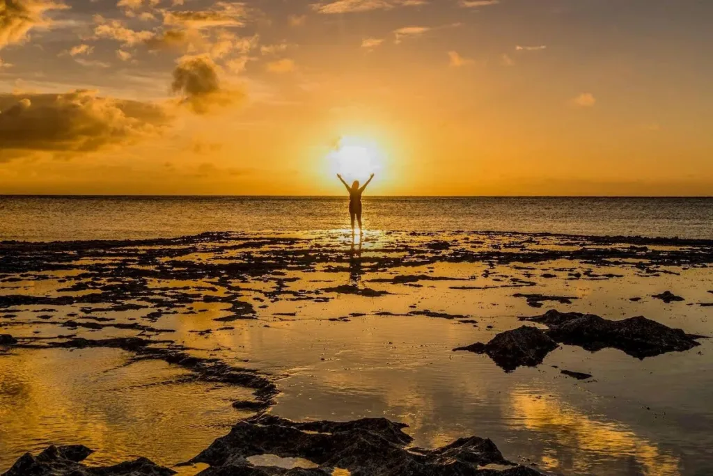 Sunset tour with panoramic views from Tantalus Lookout