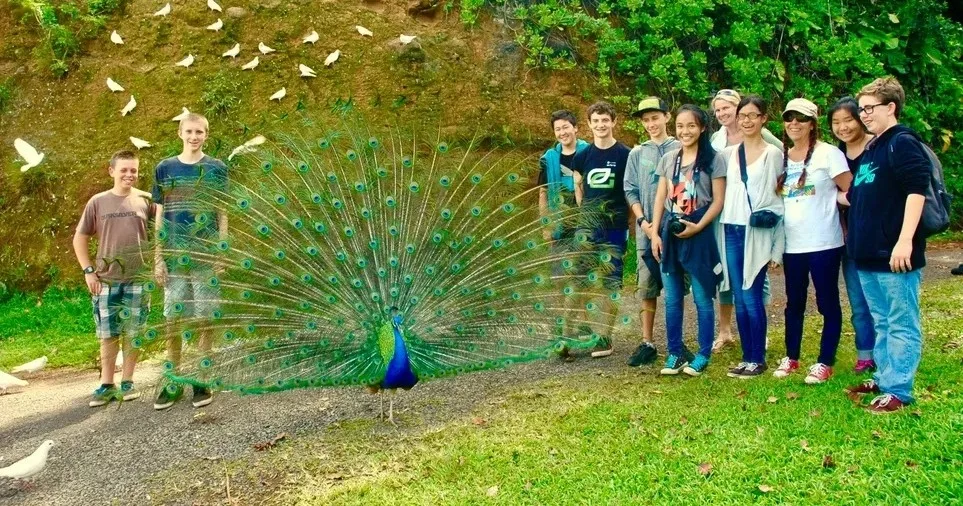 Peaceful walk through lush nature sanctuary