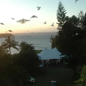 Enjoy live music under the evening sky