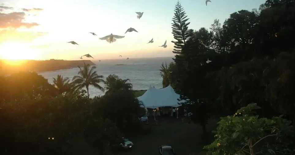 Enjoy live music under the evening sky