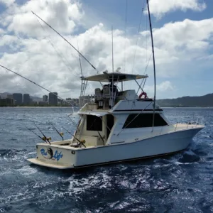 Fishing boat anchored near tropical island shore