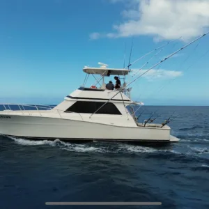 Group exploring island coastline on shared boat tour