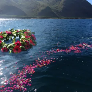 Private one and a half hour ash scattering ceremony charter