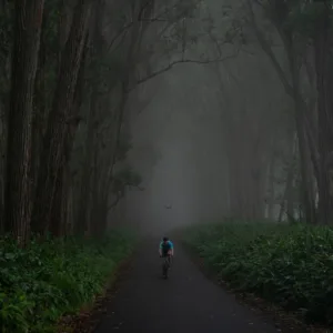 Customized island trip itinerary planning session