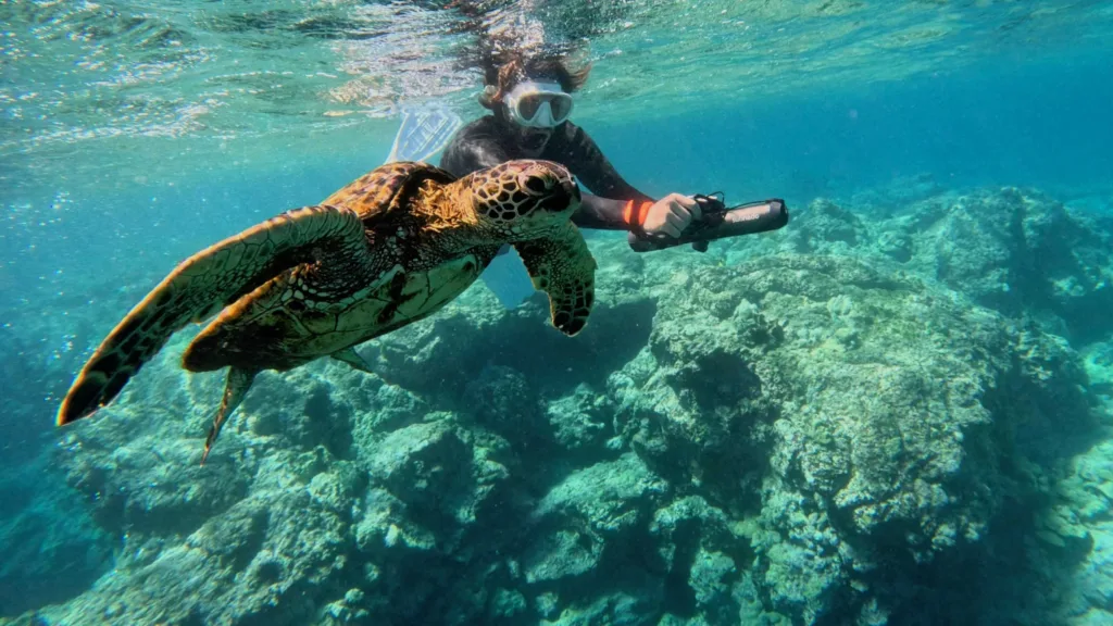 Guided snorkeling tour with sea scooters in Puako