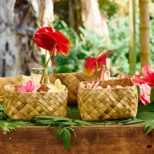 Morning stroll through scenic Lei Garden landscapes
