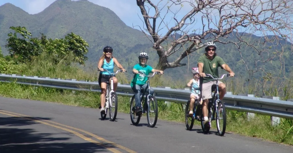 Cyclist riding downhill through lush Oahu mountain trails