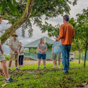 Farm tour paired with tasting of Hawaiian craft chocolates