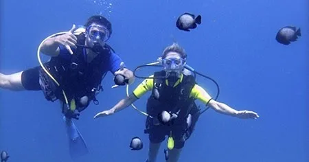 Certified divers exploring shore dive with manta rays nearby