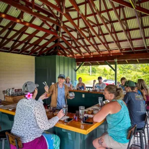Tasting session featuring handcrafted Hawaiian chocolates