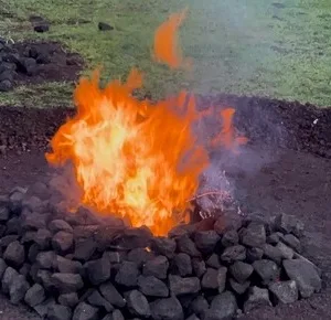 Four hour guided island tour package experience