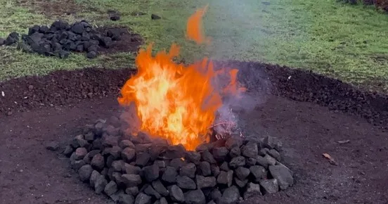 Four hour guided island tour package experience