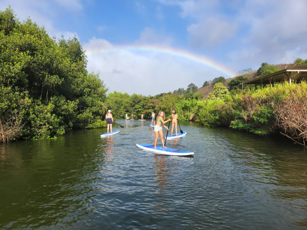 Kayakers paddling through Waikiki waters near turtles