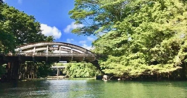 Kayakers paddling towards waterfall in lush rainforest