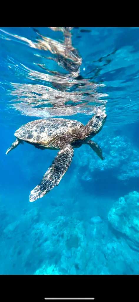 Snorkeling and picnic tour along Maui’s coastline