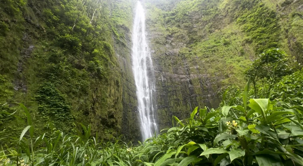 Private jeep tour with hike along Pipiwai Trail Maui