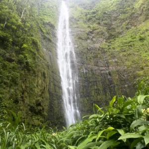 Private jeep tour with hike along Pipiwai Trail Maui