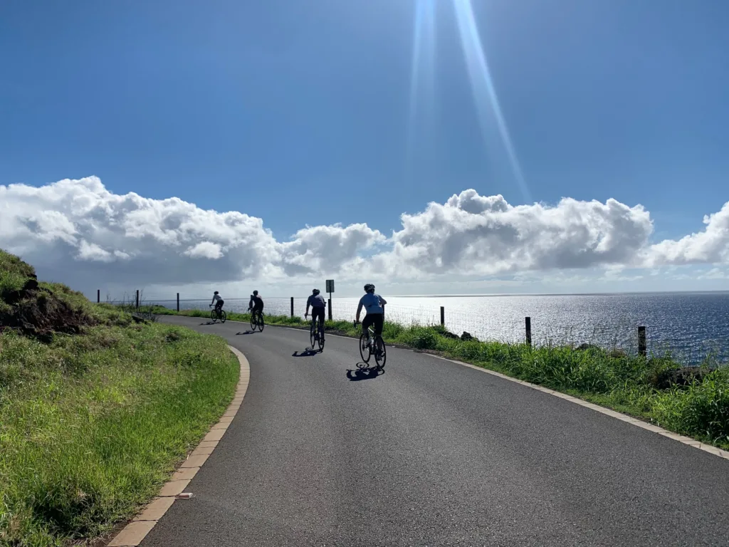 Biking tour island hopping across Maui’s scenic spots