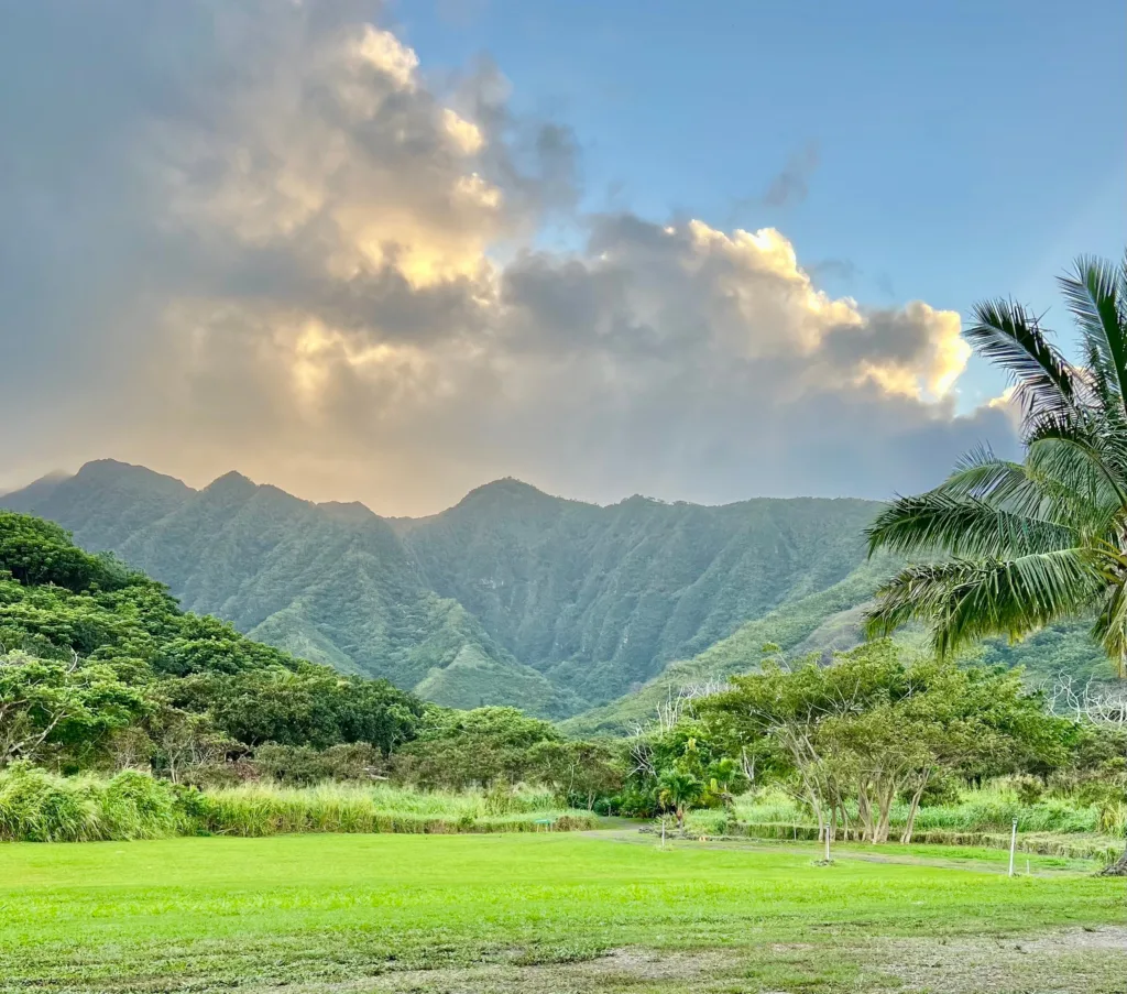 Guests enjoying traditional kava drink during Aina tour