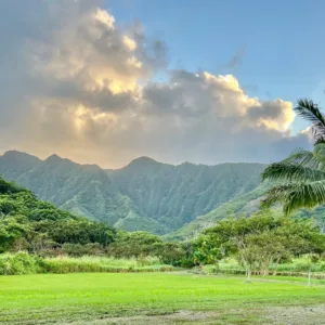 Guests enjoying traditional kava drink during Aina tour