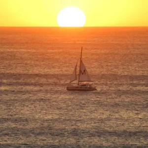 Captain-led sunset cruise with whale watching and tasting event