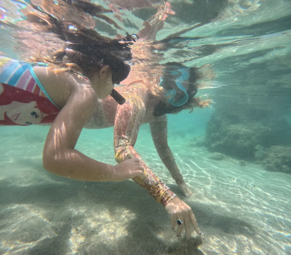 Adaptive snorkeling tours tailored for all abilities