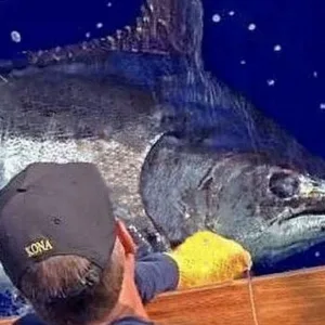 Private three-quarter day boat charter in Kona area