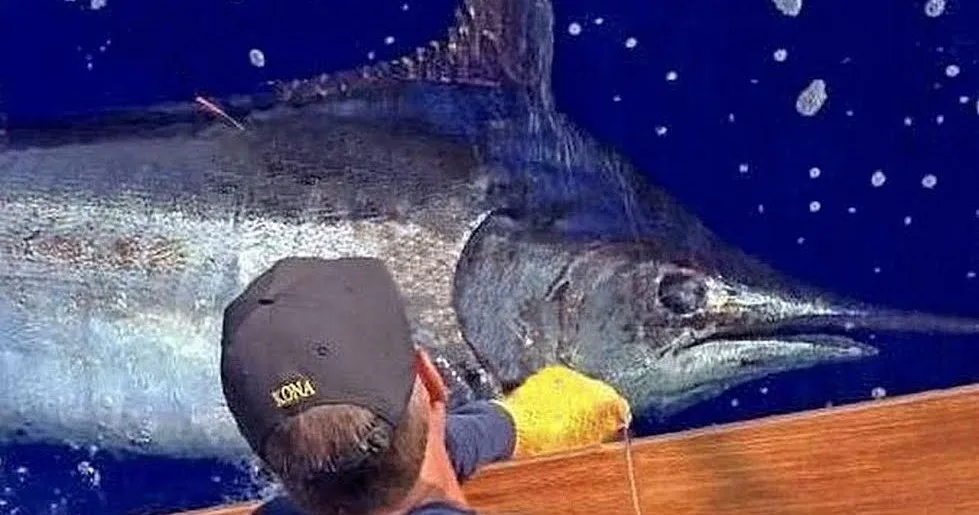 Private three-quarter day boat charter in Kona area