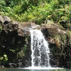 Waterfall surrounded by lush greenery at Mauna Kea Bioreserve