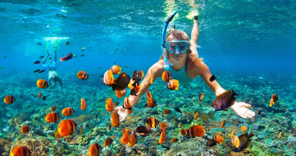 Snorkelers exploring coral reefs in Kealakekua Bay waters