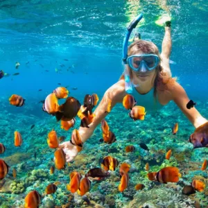 Snorkelers exploring coral reefs in Kealakekua Bay waters