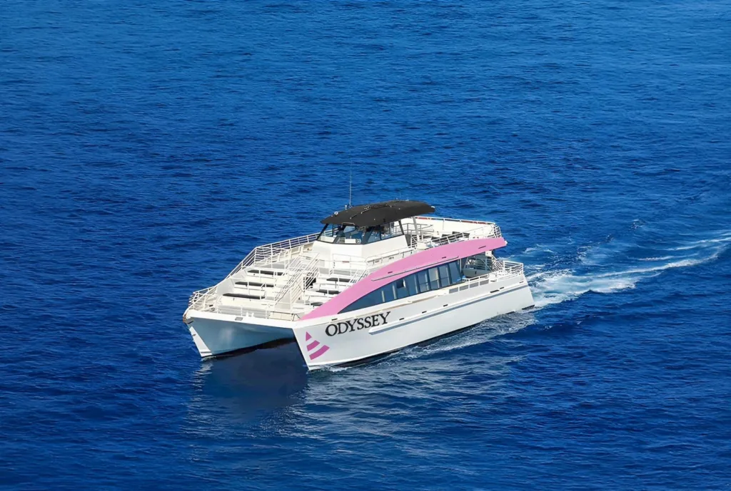 Sunset whale watching cruise off Waikiki coastline in winter