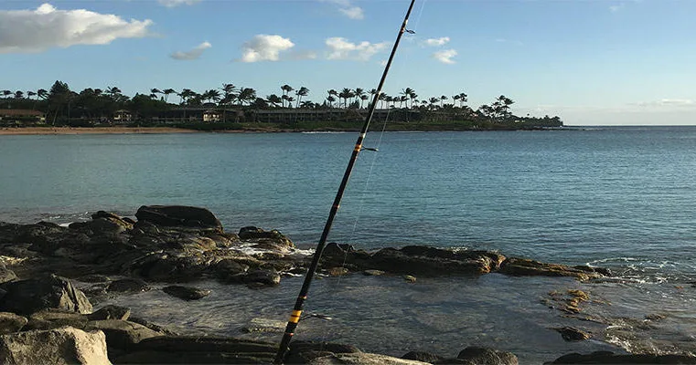 Quick island exploration on two hour Maui tour