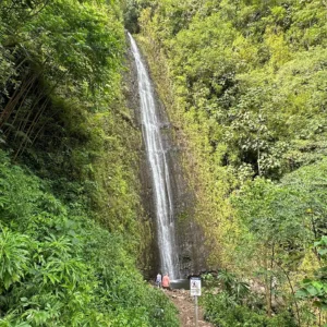 Electric bike ride to Manoa Falls hiking trailhead
