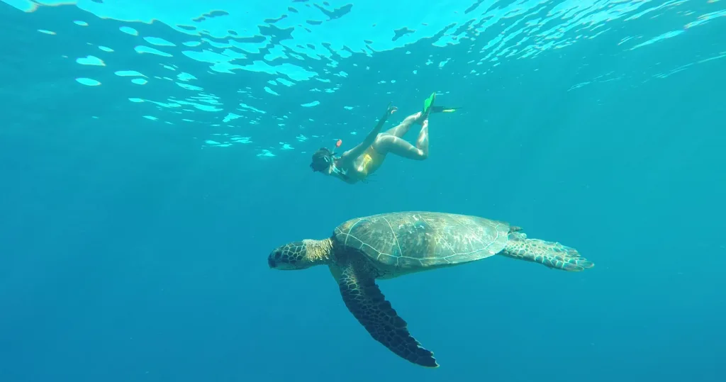 Kayak and snorkeling adventure in tropical waters