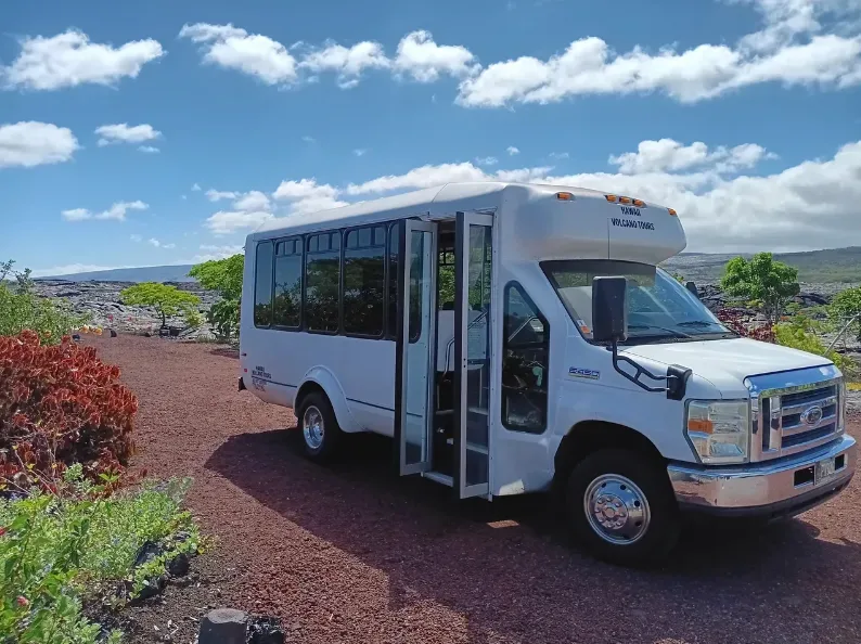 Tour group exploring volcanic landscape near Hilo shore