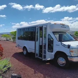 Tour group exploring volcanic landscape near Hilo shore