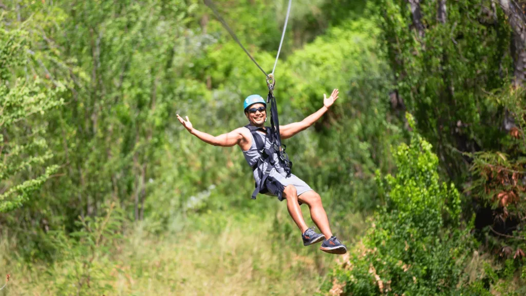 Exciting zipline adventure combined with dolphin watching cruise