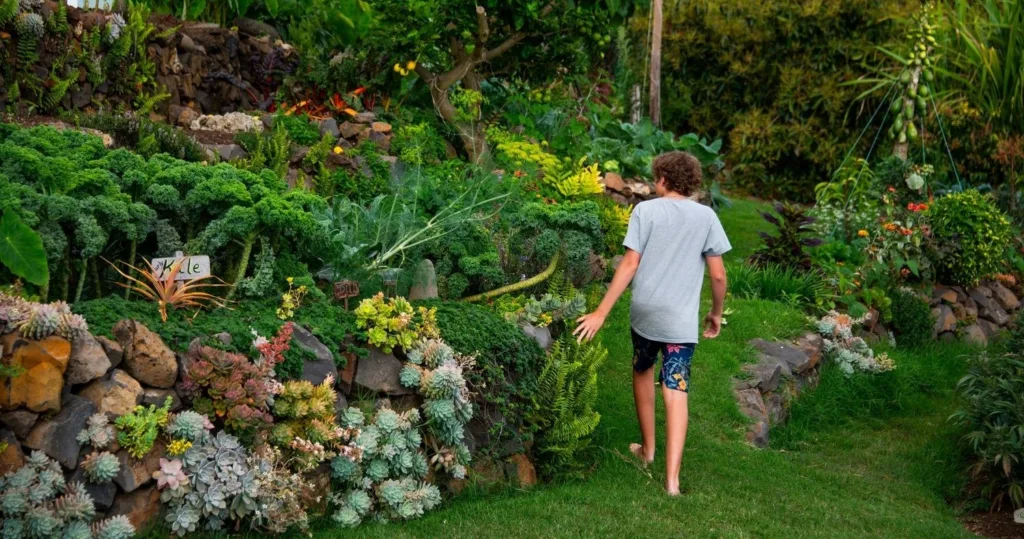 Farm fields with tropical crops during half-hour tour
