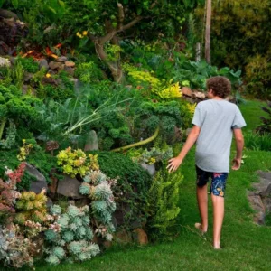 Farm fields with tropical crops during half-hour tour