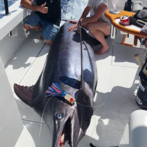 Fishing boat cruising near tropical island shores