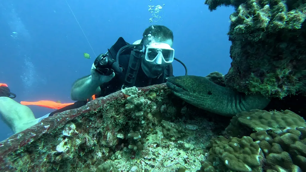 Scuba diver exploring vibrant coral reef and underwater wreck