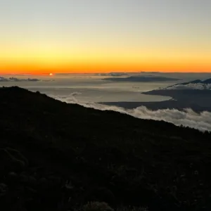 Maui upcountry tour from rainforest to sunset views