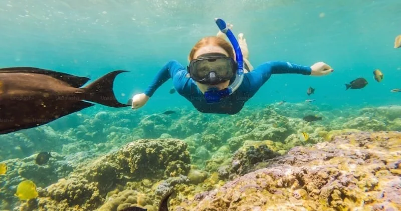 Exploring colorful coral reefs while snorkeling in Kona