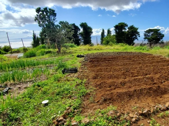 Group enjoying a farm tour with fresh local produce